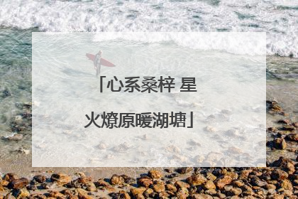 心系桑梓 星火燎原暖湖塘